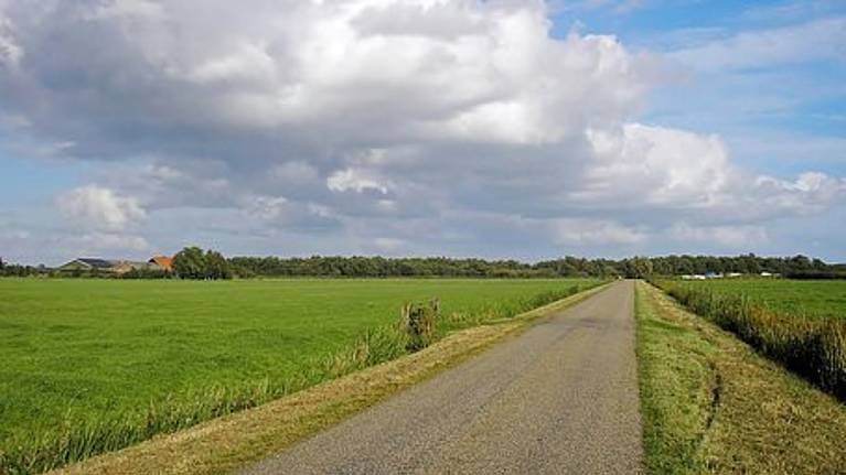 Afbeelding van landweg in de natuur Afbeelding van landweg in de natuur