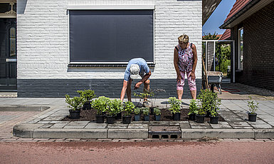 Inwoners zetten plantjes in de grond.