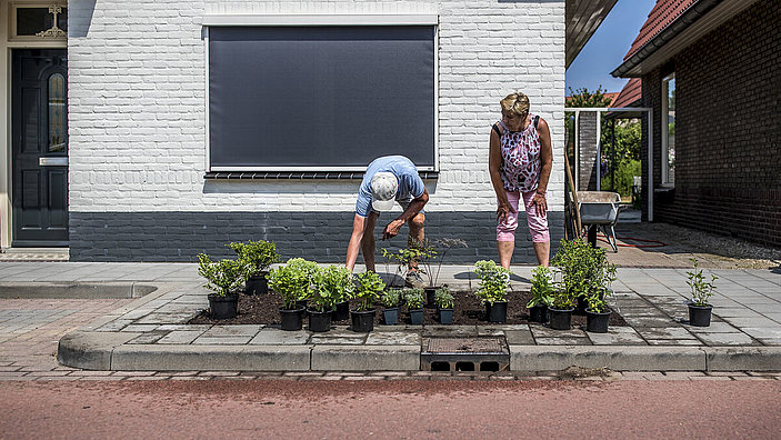 Inwoners zetten plantjes in de grond.